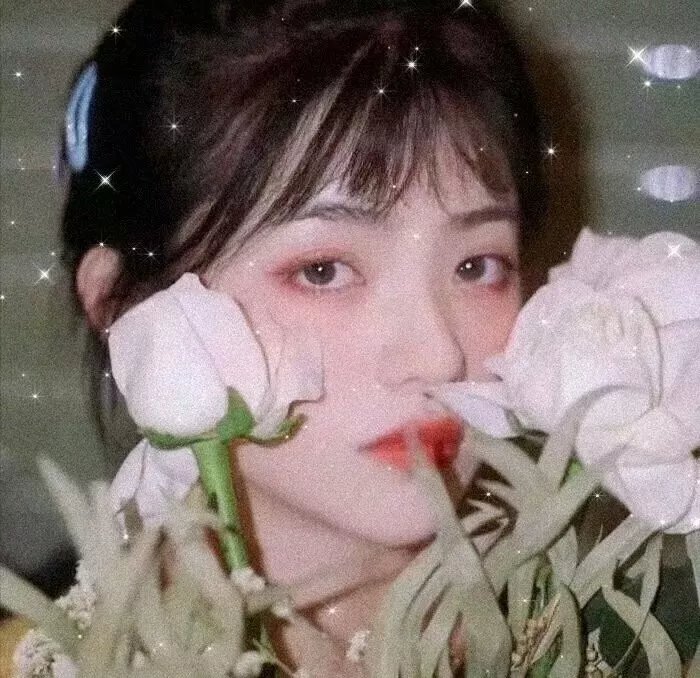 杂志梦